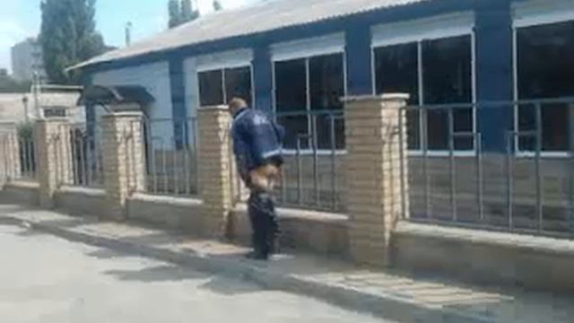 Голыш смотреть онлайн