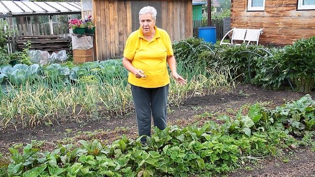 190 Почему весной не цветёт земляника? смотреть онлайн