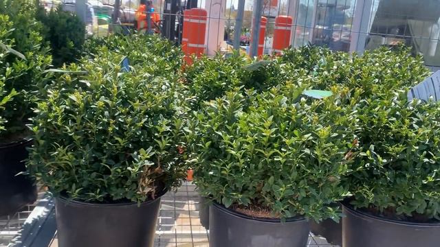 OMG, The Projects Done, And A Few Others… And Always Some Thrifting