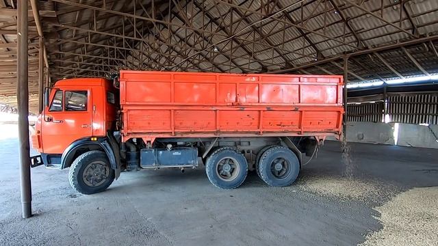 Уборка урожая 2021 Черный горох смотреть онлайн
