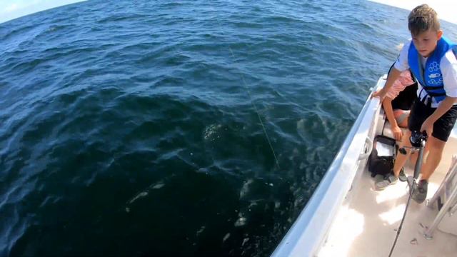 OFF SHORE FISHING OUT OF ORANGE BEACH, ALABAMA WITH JASON FROM SALTWATER ACTION GEAR смотреть онлайн