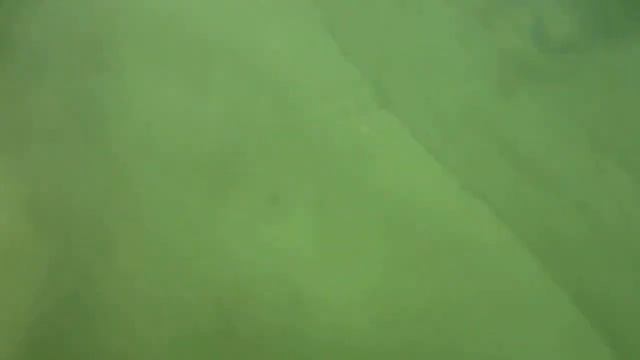 Ледью Яха смотреть онлайн