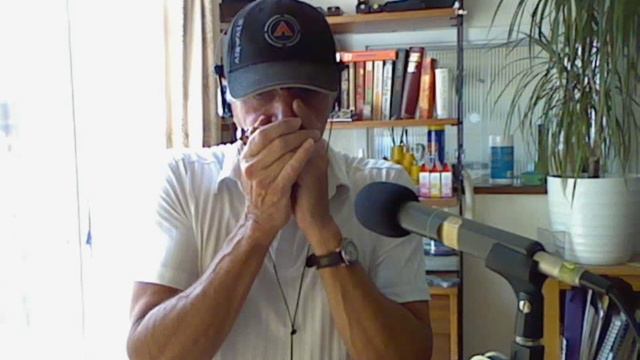 When she loved me - Toy Story 2 - on Harmonica смотреть онлайн