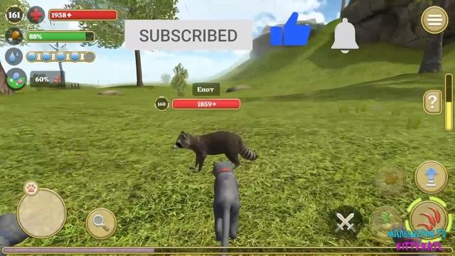 ?Симулятор КОТА и КОШКИ? Босс енот в СИМЕ Cat Sim