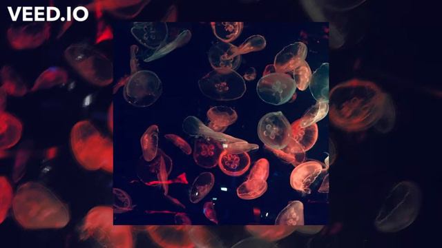 Bonbon - Era Istrefi | Edit Audio~