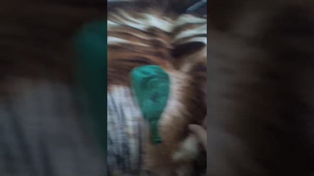 Круто!Огромный шар смотреть онлайн