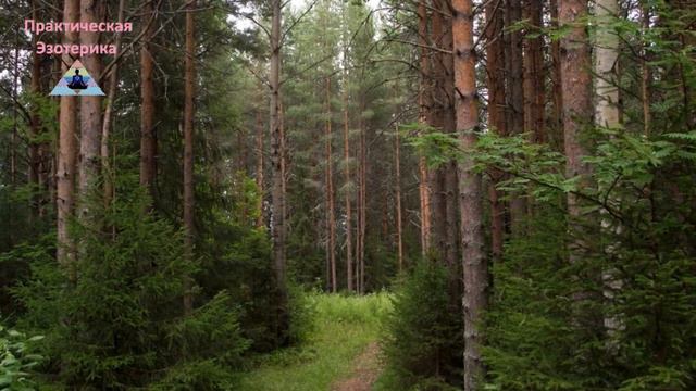 Забытые миры