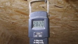 Пушкинские куры. Мои впечатления.