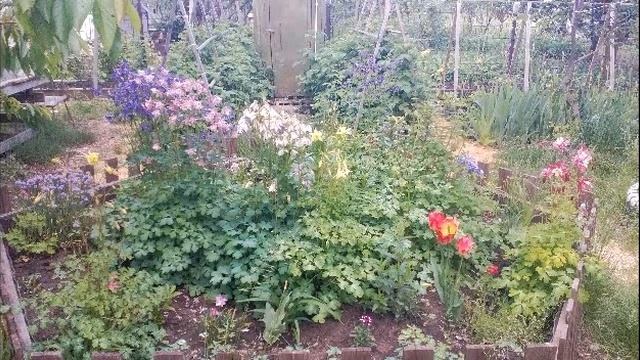 Высокие грядки после  5 лет использывания.