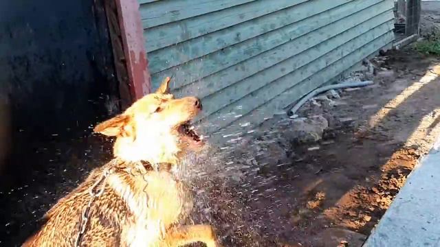 Жажда воды. смотреть онлайн