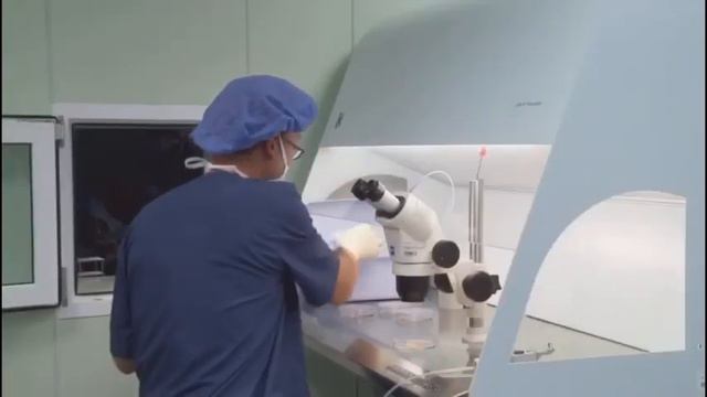 ЭКО. Пункция фолликулов. смотреть онлайн