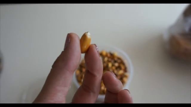 Кито | Эквадор pt.1 смотреть онлайн