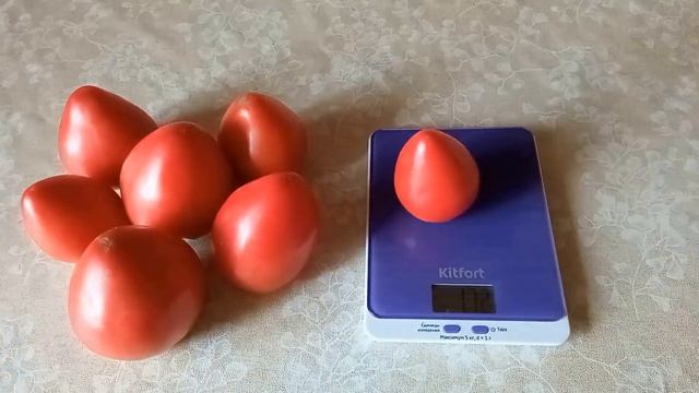 томат орлиный клюв смотреть онлайн