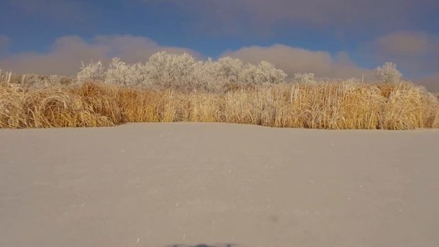 Hoar Frost In Riverton Wyoming