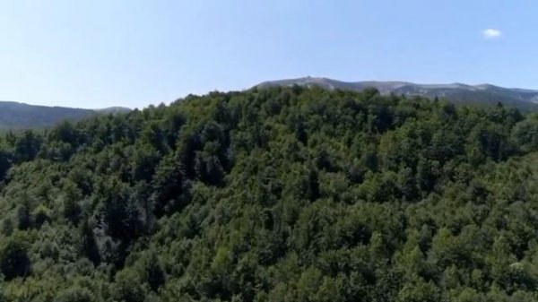 🛑Benchikha Confesse ⚽️: 'Jamais Je Ne Reviendrai en Équipe d’Algérie'