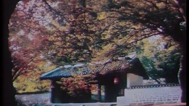 История тхэквондо. 1 часть. смотреть онлайн