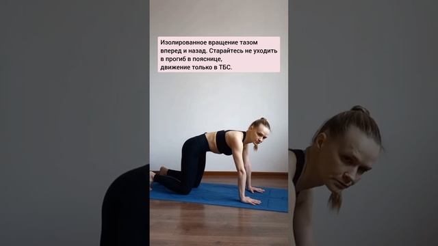 Движение в позвоночнике. Урок 1. Основы практики йоги. смотреть онлайн