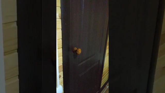 Дом отдыха "Чикаго" на побережье озера АЛАКОЛЬ смотреть онлайн