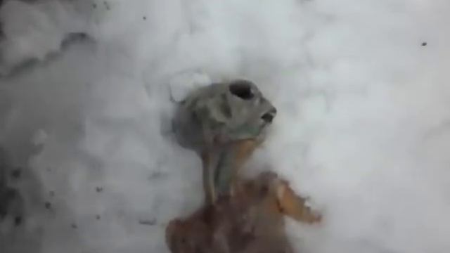 Под Челябинском 15.02.2013 смотреть онлайн