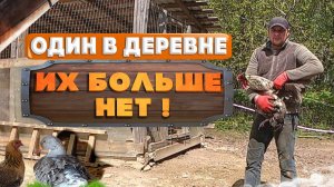 ИХ БОЛЬШЕ НЕТ ! ЕДА В КАЗАНЕ ! ПОЛЕ ГОТОВО К ПОСАДКЕ !  [Жизнь в деревне]