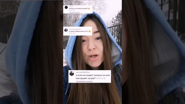 Хозяйка Мони комментирует видео пенсионерки смотреть онлайн