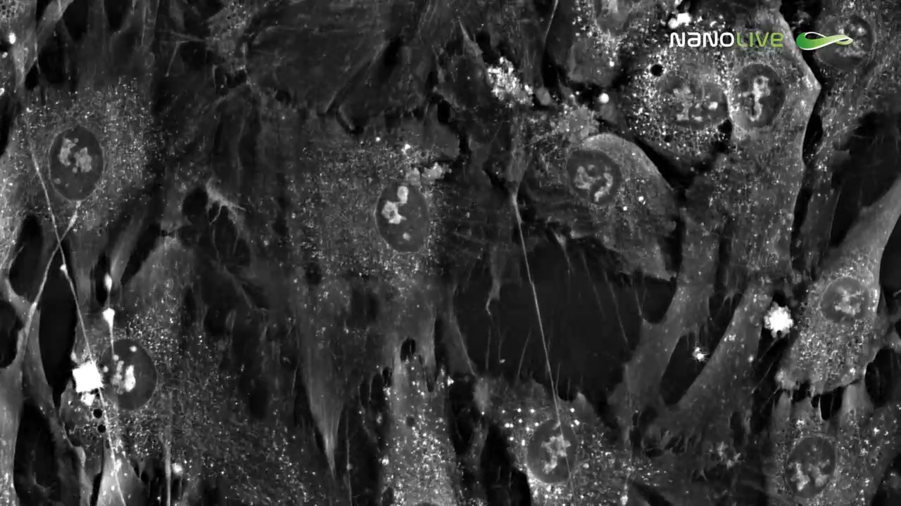 Создан 3D-микроскоп позволяющий изучать клетки, не разрушая их смотреть онлайн