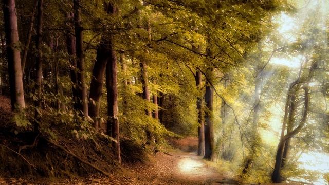 Relaxing Music Guitar, Calming Music, Meditations, Instrumental Music