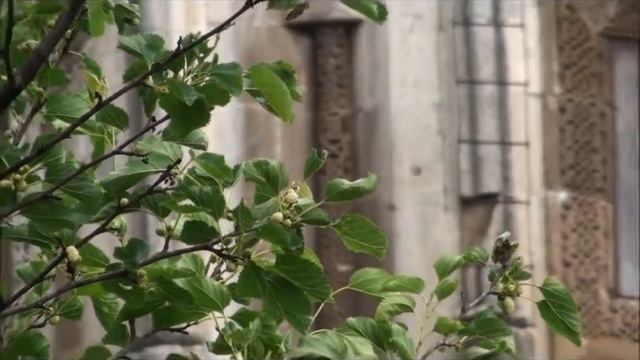 South Eastern Armenia смотреть онлайн