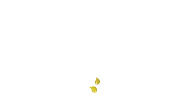 Beauty Salon Logo Design and Animation смотреть онлайн