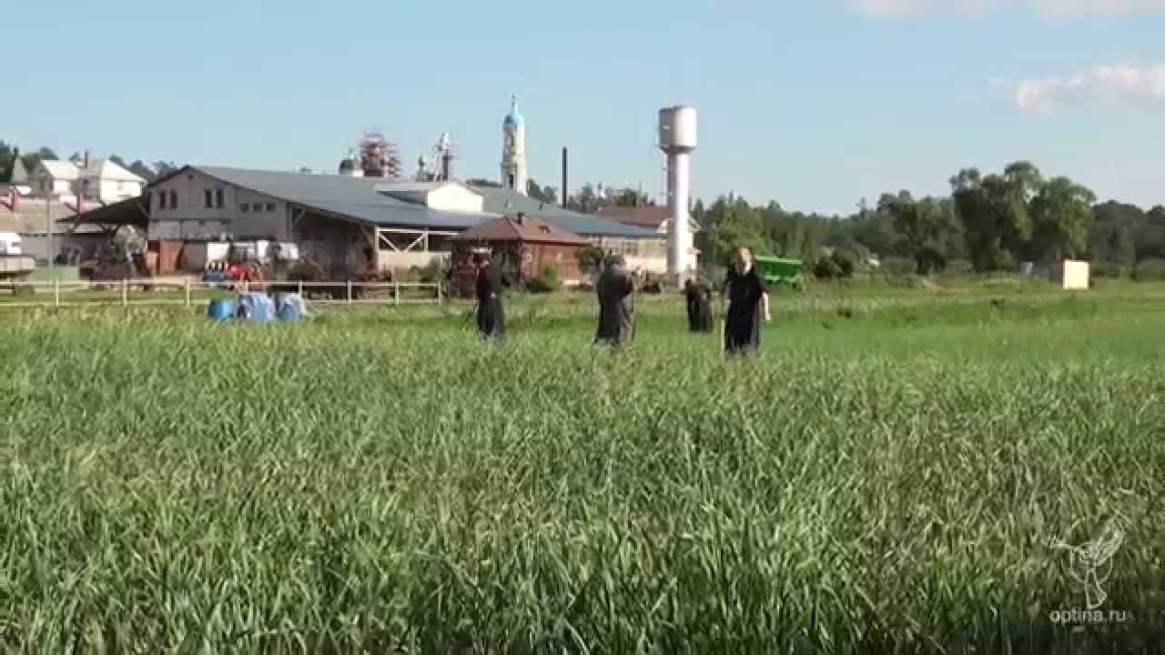 Подсобное хозяйство в монастыре Оптина пустынь смотреть онлайн