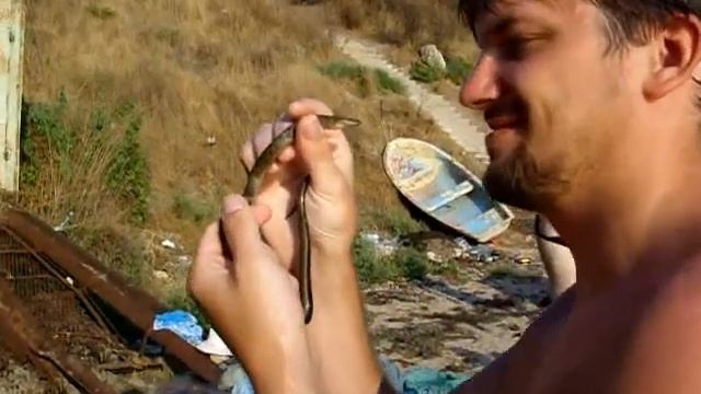 Юный серпентолог смотреть онлайн