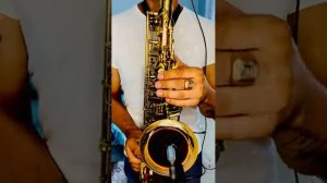 Андрей Державин - Не плачь, Алиса! (SAX cover by OppositeMus)