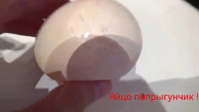 ШОК ! ЧТО С ЯЙЦОМ! ЭТО ПОПРЫГУНЧИК! смотреть онлайн