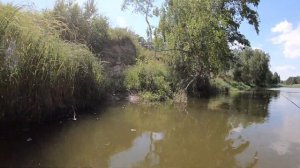 Байдарка. Река Жиздра