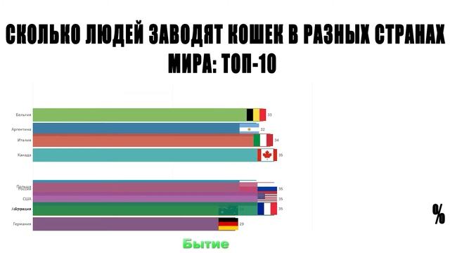 ТОП 10 Стран где любят кошек смотреть онлайн