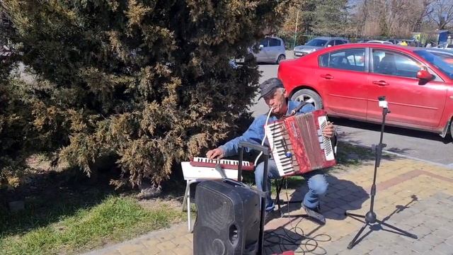 Неверояно красивая восточная мелодия (Уличный музыкант г.Анапа) смотреть онлайн