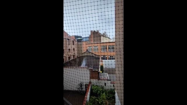 Sécurité pour chat à Toulouse avec Pagani ? DEVIS GRATUIT ICI !? www.protectionpourchat.com смотреть онлайн