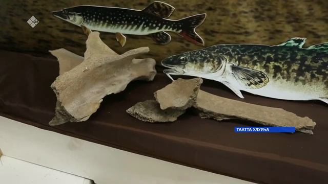 Мамонт тииһэ смотреть онлайн