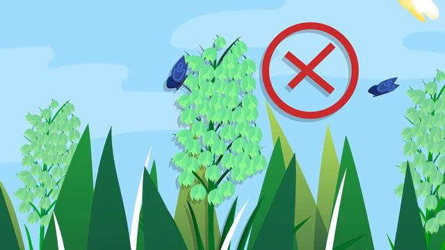 Что такое эволюция?