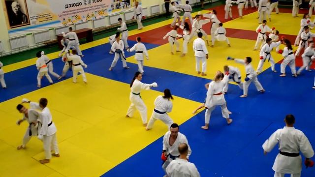 Семинар по кумитэ Клюева Д М Стерлитамак, лето 2019 смотреть онлайн