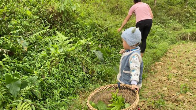 On Pao's First Day In Her New Home, Huong Was Extremely Sad | Wild Girl - Huong