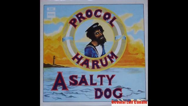 P̤r̤o̤c̤o̤l̤ ̤H̤a̤r̤ṳm̤ A̤ ̤S̤a̤l̤t̤y̤ ̤D̤o̤g̤ 1969 Full Album смотреть онлайн
