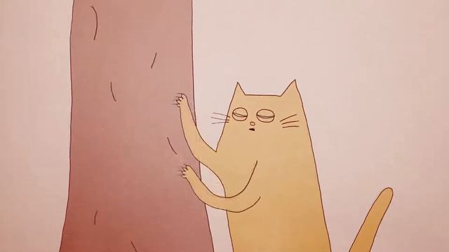 почему коты так странно себя ведут? смотреть онлайн