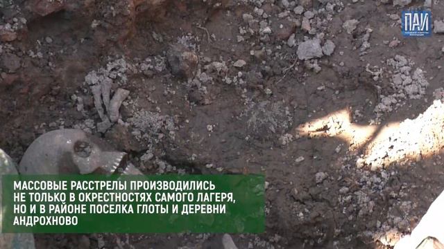 Свидетельства массового геноцида советского народа обнаружены под Псковом смотреть онлайн