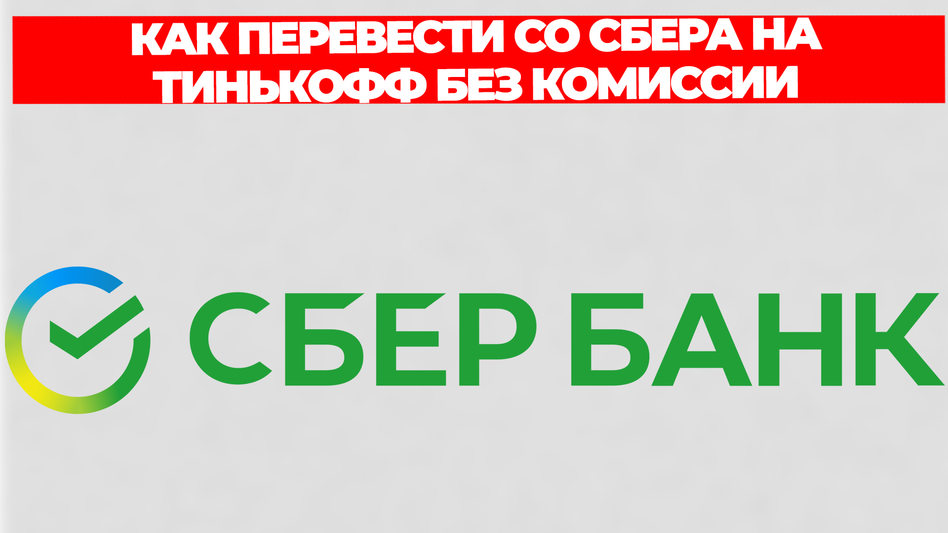 Всезнающий Енот