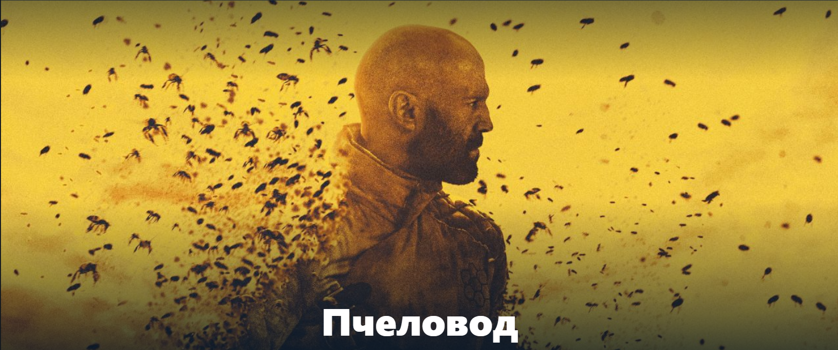 Пчеловод (2024) смотреть онлайн