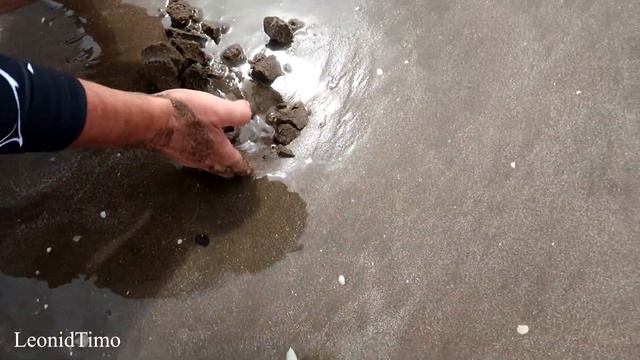 Морская Рыбалка с берега на Морского Сомика / Аргентина / ловля рыбы смотреть онлайн