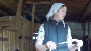 Откорм бычков.Реальный доход //Домашние телята//НАШ НОВЫЙ ТЕЛЁНОК