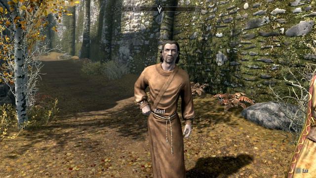 Skyrim with Sofia Live Stream. Sofia's Wedding. Last part. смотреть онлайн
