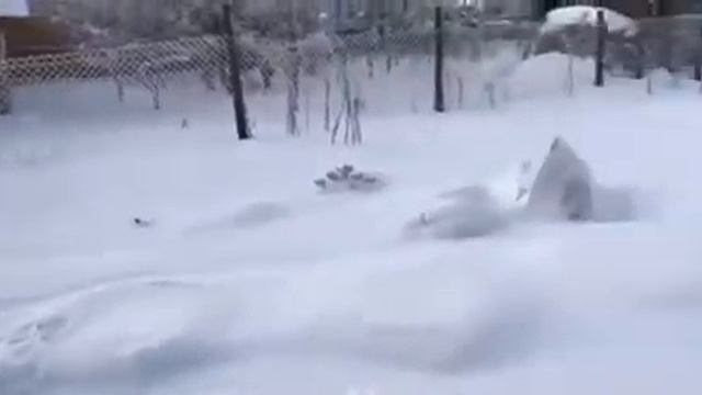 Зимой в деревне . Гремячая поляна 28.12.2021 смотреть онлайн